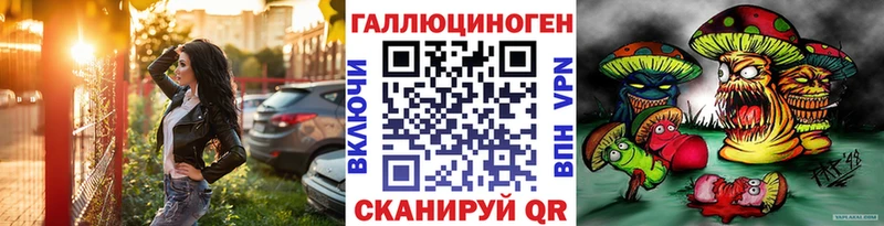 блэк спрут ССЫЛКА  Каменногорск  Псилоцибиновые грибы мицелий 