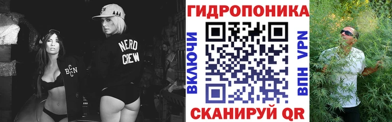 магазин  наркотиков  Каменногорск  Каннабис White Widow 